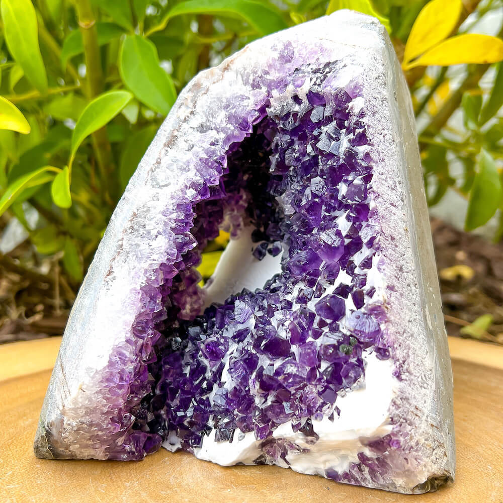 Amethyst Geode Cluster - Amethyst Cathedral. Purple Amethyst-Cut-Base, statement piece high quality gemstones at MagicCrystals.com