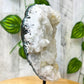 Apophyllite-Cluster-On-A-Stand. Apophyllite cluster, apophyllite geode, raw apophyllite, apophyllite free standing, apophyllite crystal with cut base, Rare Apophyllite Crystal Geode on a stand at MagicCrystals