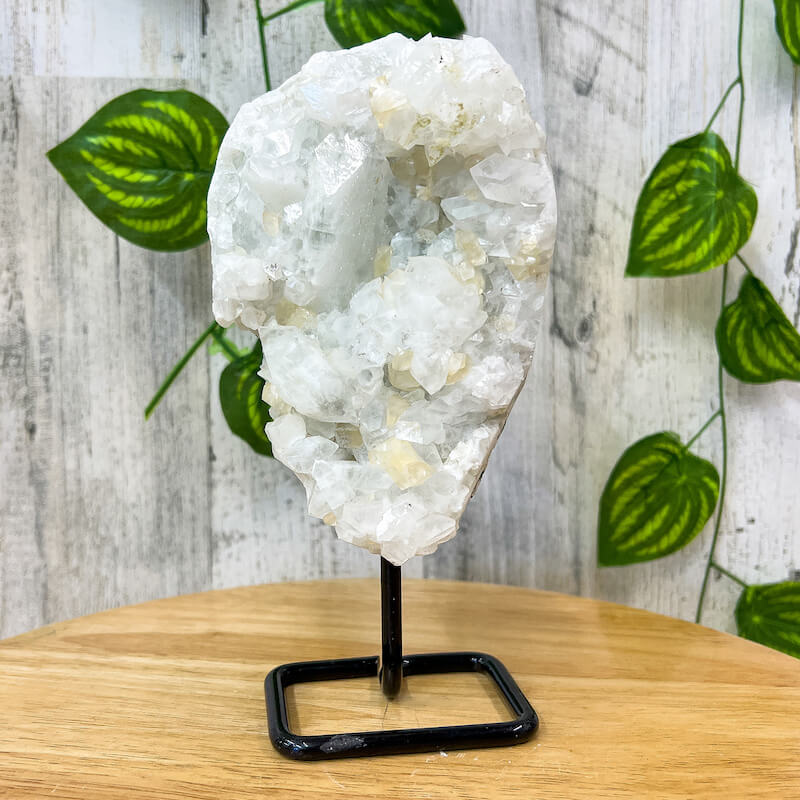 Apophyllite-Cluster-On-A-Stand. Apophyllite cluster, apophyllite geode, raw apophyllite, apophyllite free standing, apophyllite crystal with cut base, Rare Apophyllite Crystal Geode on a stand at MagicCrystals