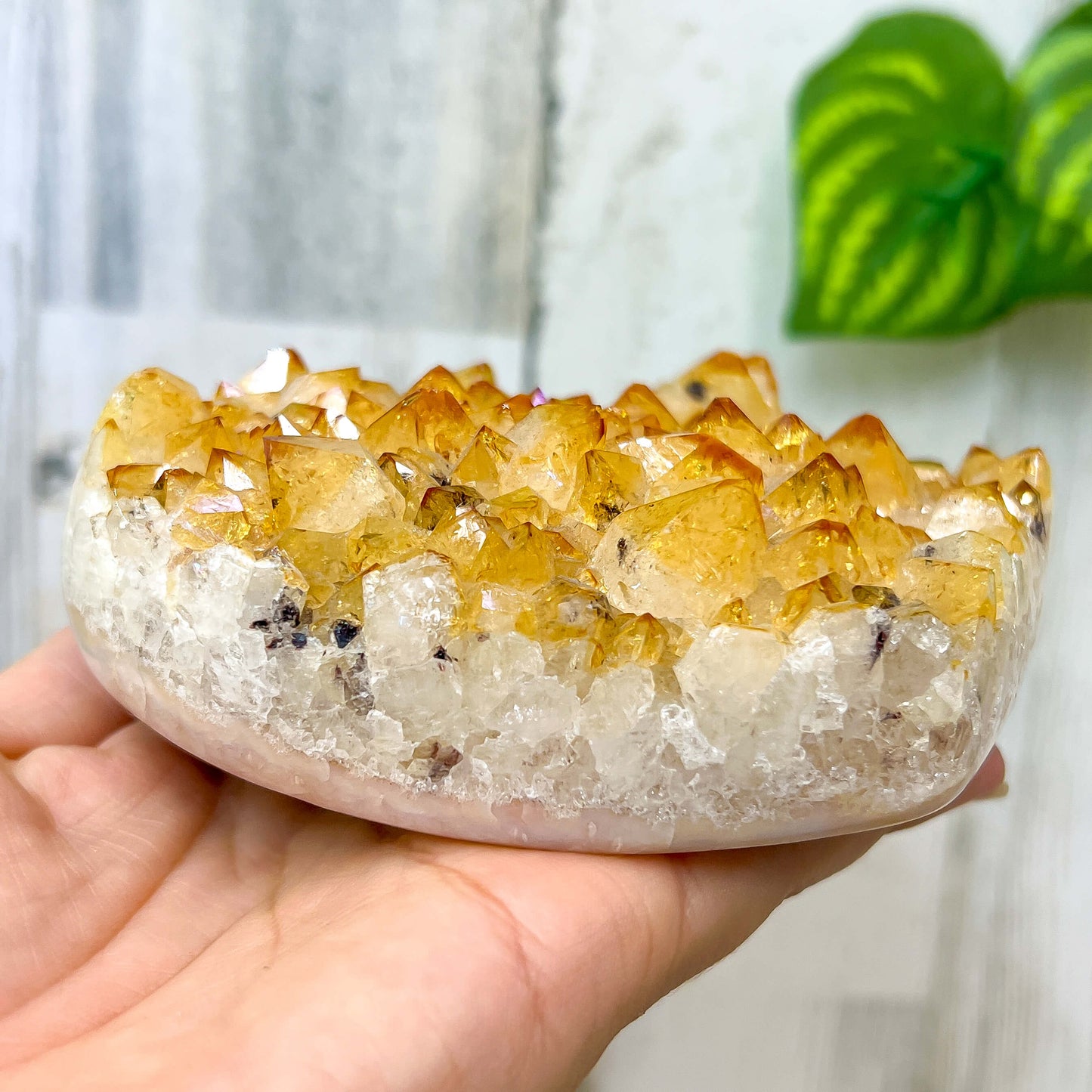 Cúmulo de corazón de citrino druzy