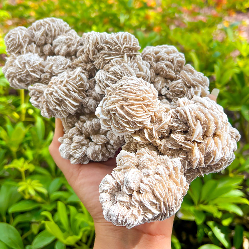 Desert Rose Selenite Specimen