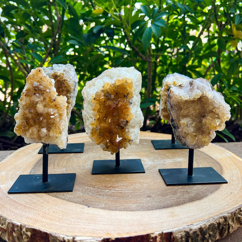 Looking for a Druzy Citrine On a Stand. Shop at Magic Crystals for Citrine Druzy Cluster, Raw Citrine Cluster, Citrine Crystal cluster, Citrine Crystal, Large Citrine Cluster. FREE SHIPPING available. Citrine is a stone of manifestation, imagination, and personal will. Citrine from Brazil is perfect for Home Decor