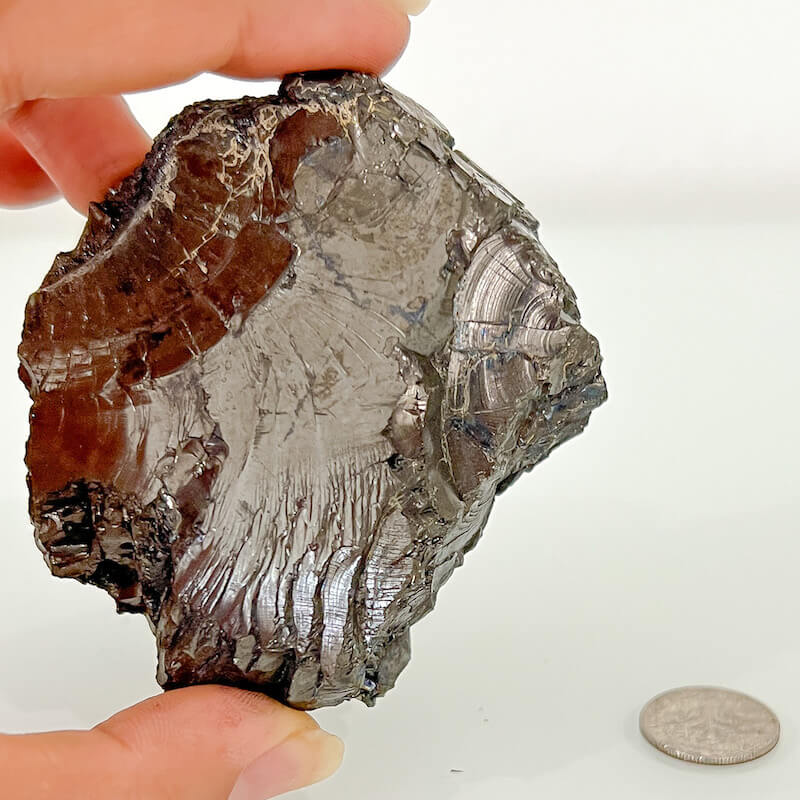 Shungit de élite en bruto