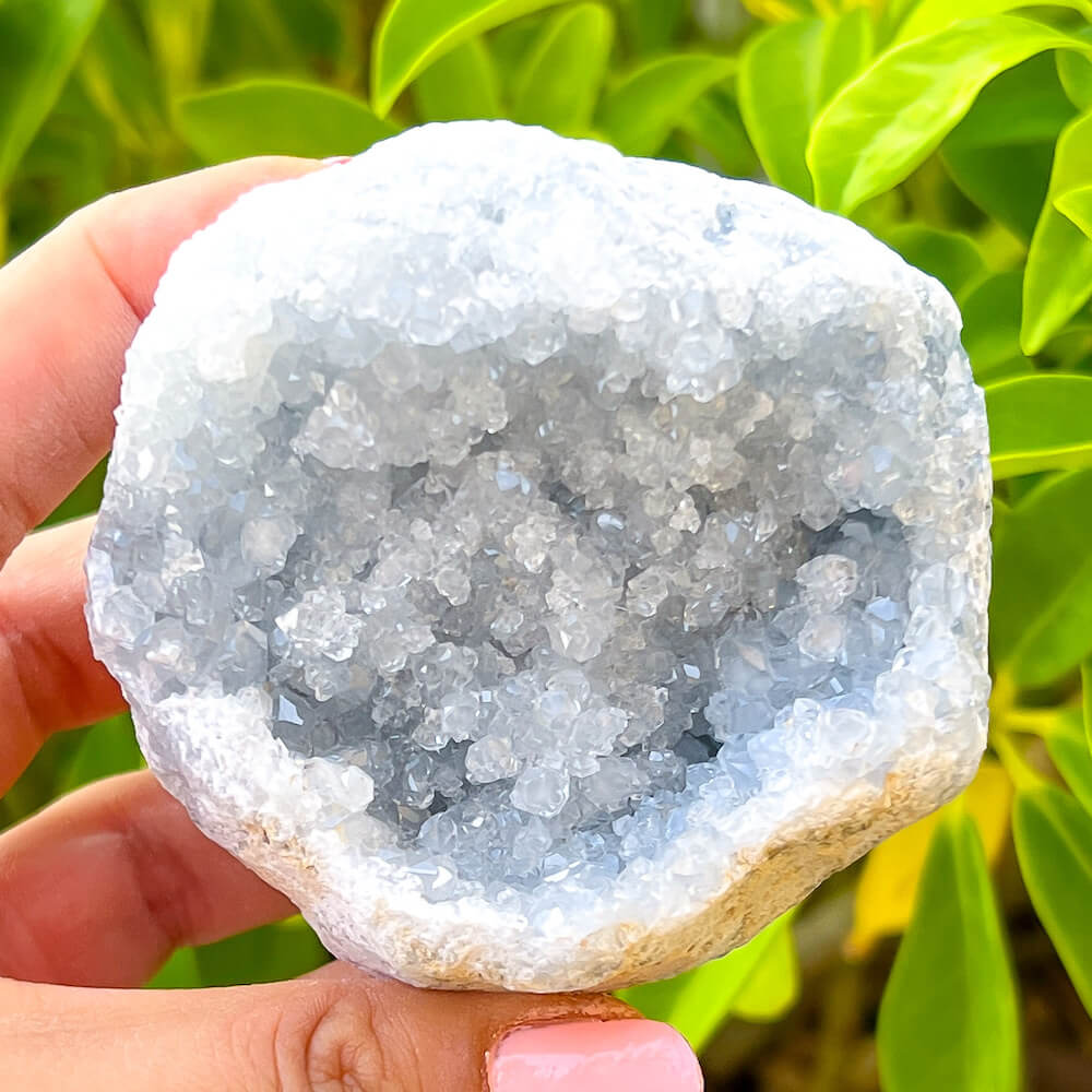 High Quality Celestite Geode Cluster - Group 2