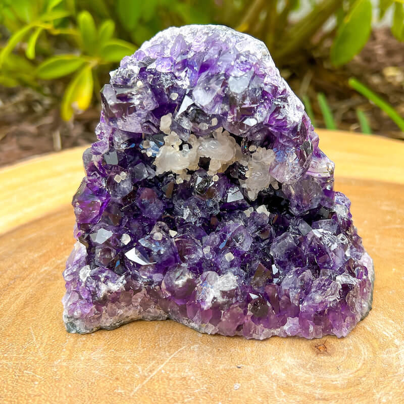 Medium Amethyst Cut Base Cluster - Amethyst Cathedral
