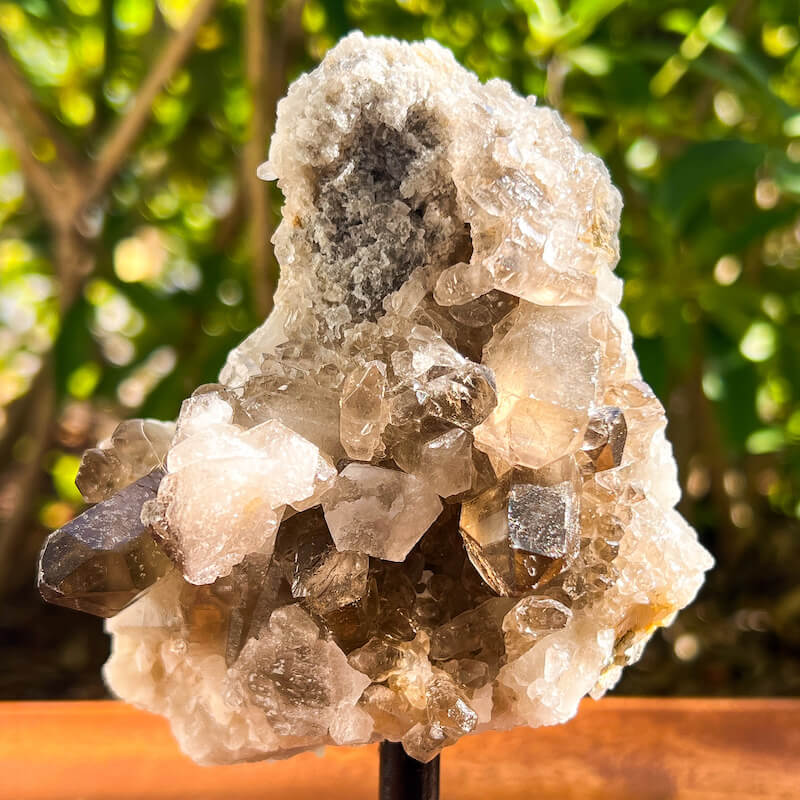 Smoky Quartz Druzy on Stand
