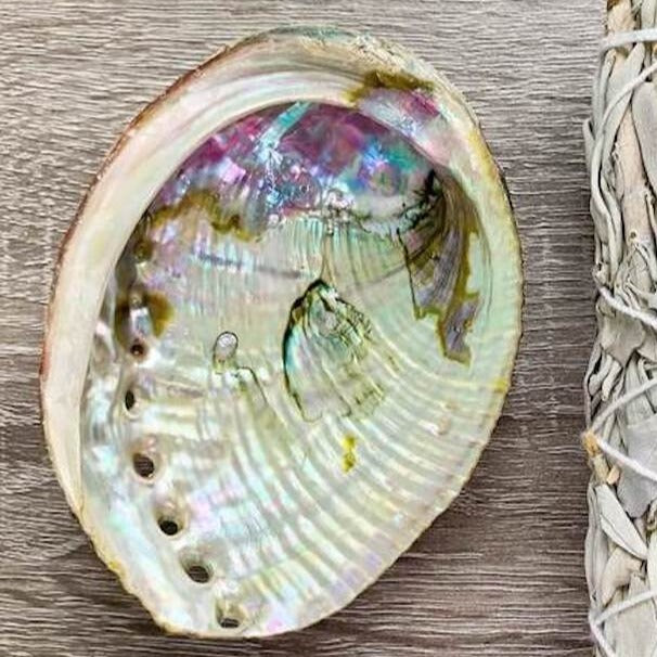 Looking for, where can I buy quality abalone shell? Shop at Magic Crystals for Abalone Shell - Perfect For Smudge Sticks - Alter Tool - High Quality - One Side Polished - Native American - Smudge Tool at Magic Crystals.