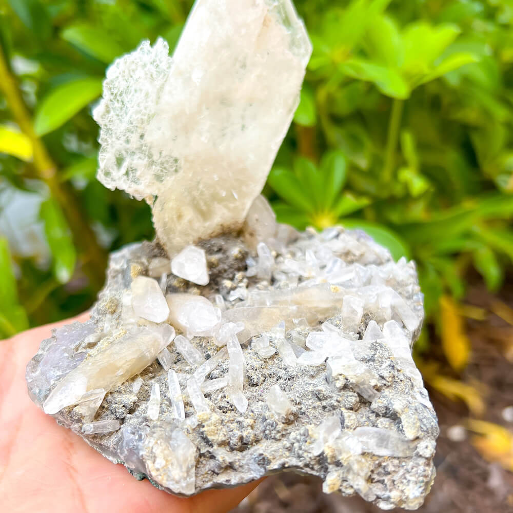 Amethyst with Selenite Gypsum Specimen