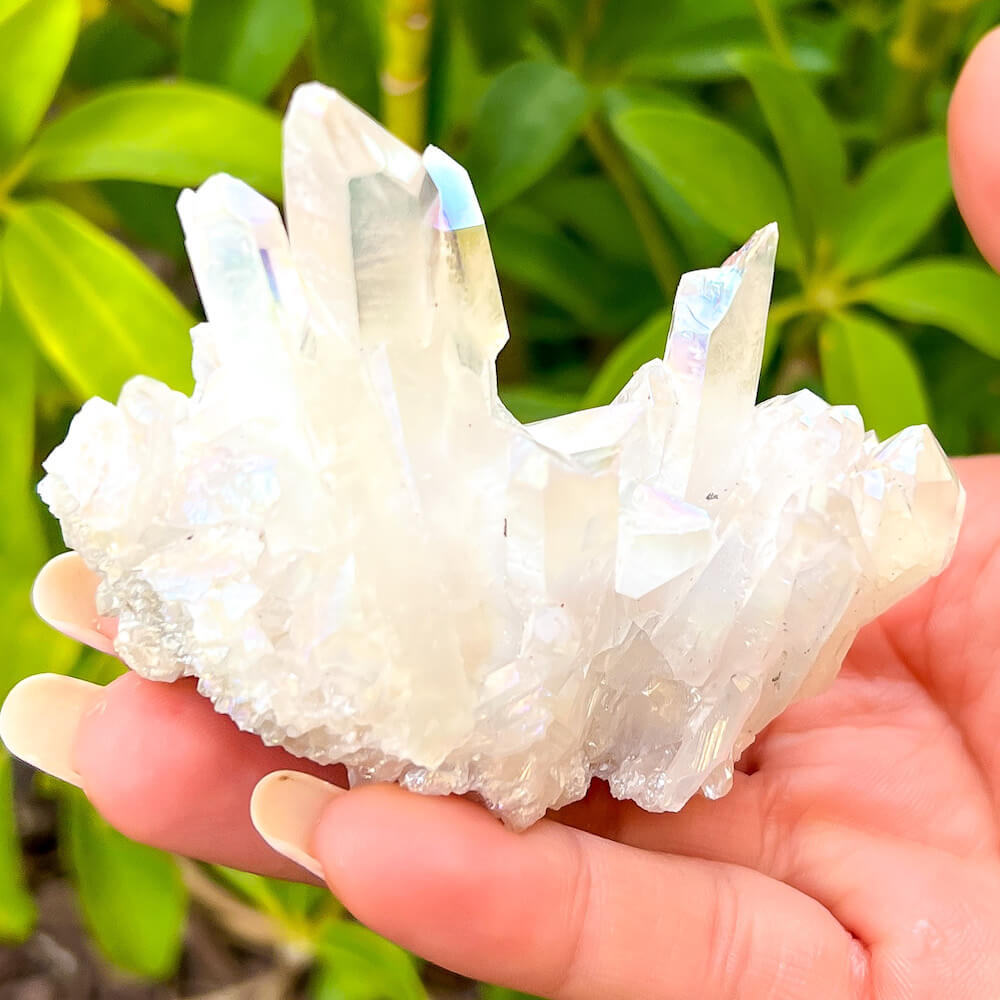 Looking for an Angel Aura Quartz Crystal Cluster Healing Crystal? We have a wide variety of single points, Rainbow Quartz, Aura Crystal Cluster, Rainbow Titanium Crystal at Magic Crystals. Magiccrystals.com Aura Quartz will help you enjoy a deeper spiritual experience by connecting you to your spiritual guides.