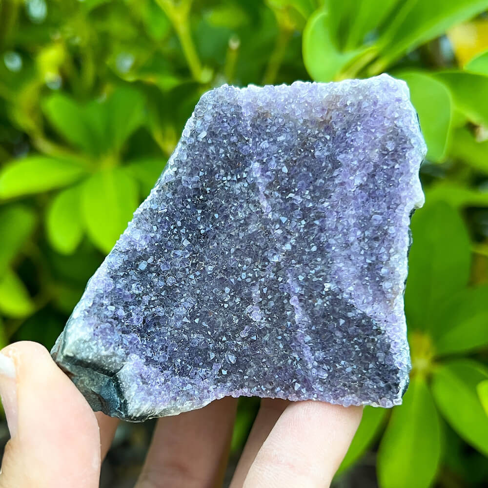 Cut base Brazilian Black Amethyst Church Cathedral Sparkly Druze Raw Crystal Cluster at Magic Crystals. This gemstone is a February Birthstone perfect for Third Eye Chakra and Crown. This gemstone helps for Spirituality and Wisdom. Natural Amethyst offers FREE SHIPPING and the best quality gemstones. Black-Amethyst-Cut-Base