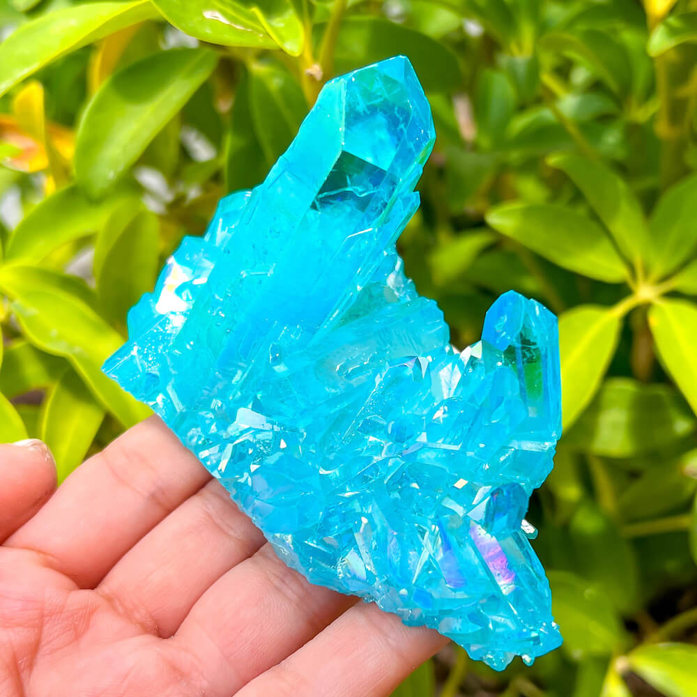 Looking for Blue Aqua Aura Quartz Cluster? Shop at Magiccrystals.com for Aqua Aura Quartz Crystal Cluster, Blue Aura Clear Quartz, Crystal for Empowerment and Expression and Healing Crystal. Free shipping available. Blue-Aura-Quartz-Crystal-Cluster-H