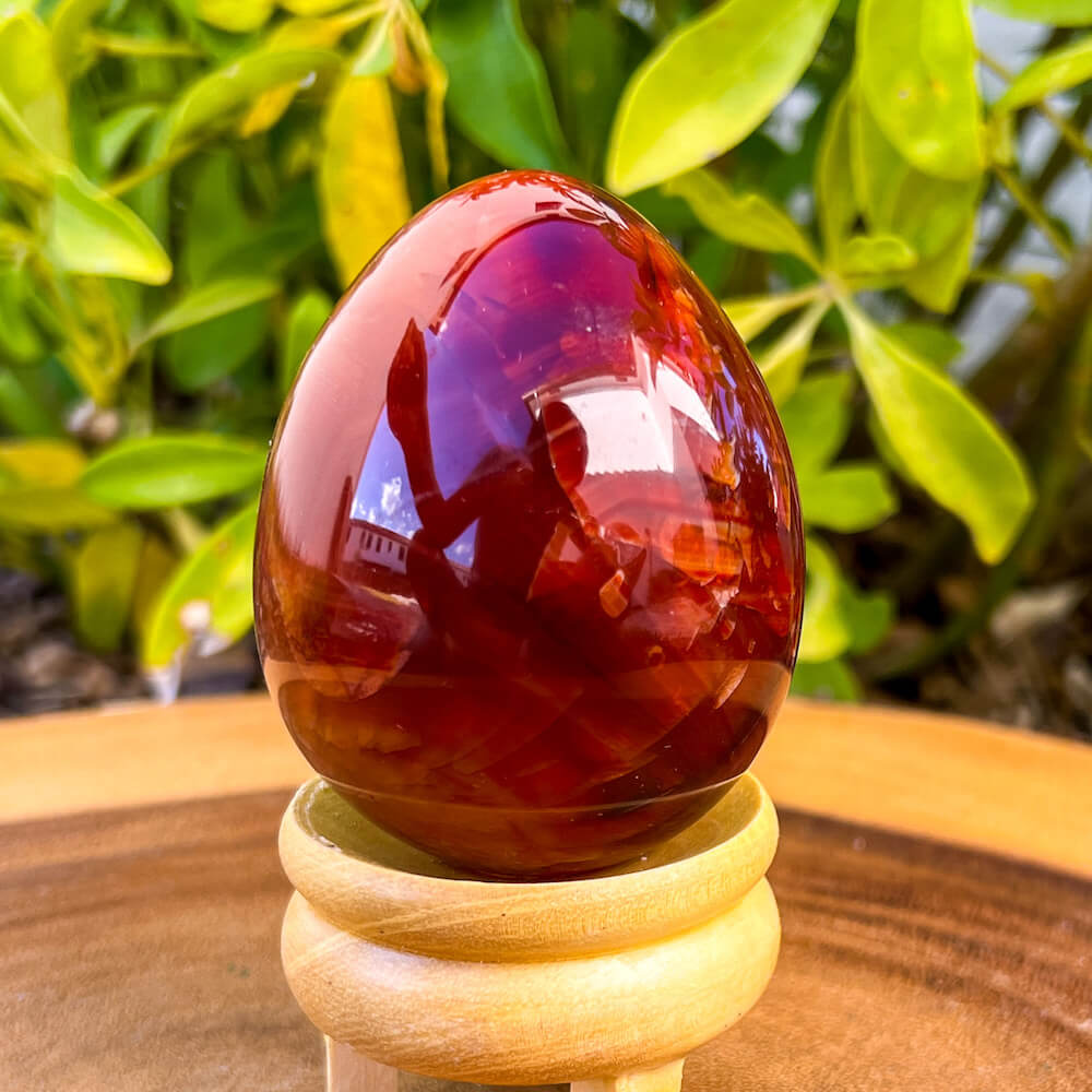 Looking for a genuine and stunning Carnelian Crystal Egg? Shop at Magic Crystals for polished cut base carnelian. Carnelian Crystal Egg - B. We only carry 'AAA' Quality Carnelian from India and Madagascar. Red Agate Crystal for reiki Healing. Free Standing Crystal. Carnelian-Egg-J