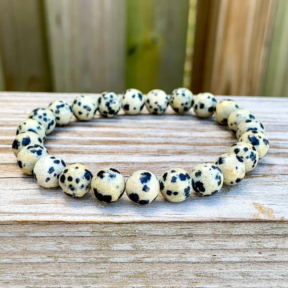 Looking for Dalmatian Jasper Bead Stretchy String Bracelet? Shop at Magic Crystals for Dalmatian Jasper Jewelry. Dalmatian Jasper is a stone that aids you to break down barriers that you have created as protection around yourself. Natural Gemstone bracelets with Free Shipping available.