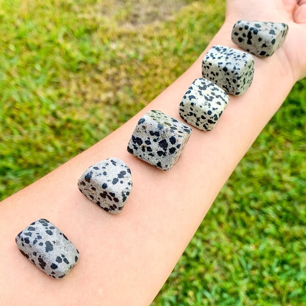Buy Dalmatian Jasper Tumbled Stones | Dalmatian Jasper Polished Gemstones | Bulk Crystals at Magic Crystals. Dalmatian Jasper TUMBLED Dalmatian Jasper - Root Chakra - Sacral Chakra - Reiki - Energy Healing with FREE SHIPPING available. Dalmatian Jasper is a grounding stone.