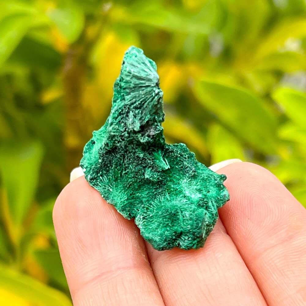 Buy Fibrous Malachite Specimen - Malachite from Congo, Raw Fibrous Malachite Mineral Specimen, Velvet Malachite from Magic Crystals. African malachite, African crystal, raw malachite, fibrous malachite, healing stone, raw crystal, healing crystal, green crystal, Earth. Malachite is known as a protection stone.