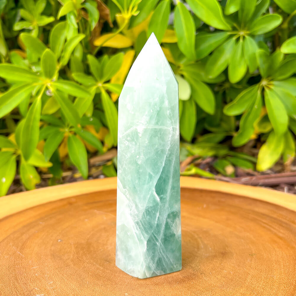 1 lb 0.2 oz - Obelisco de Fluorita