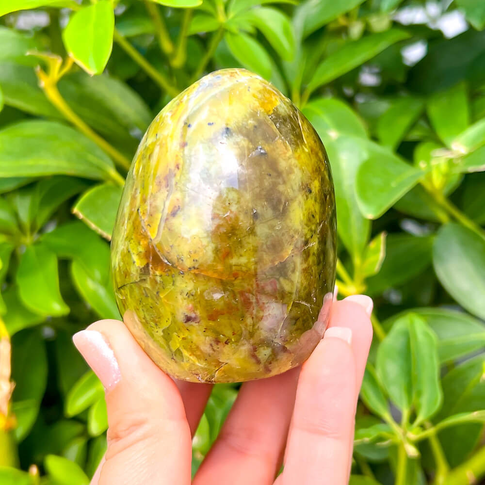 Buy Green Opal HeaFreeform from Madagascar - Green Opal - Green Opal stone quartz - healing crystals and stones when you shop at Magic crystals. Green Polished Stone with FREE SHIPPING. Green Opal Green Opal is a calming and soothing crystal known for its cleansing and re-energizing properties.