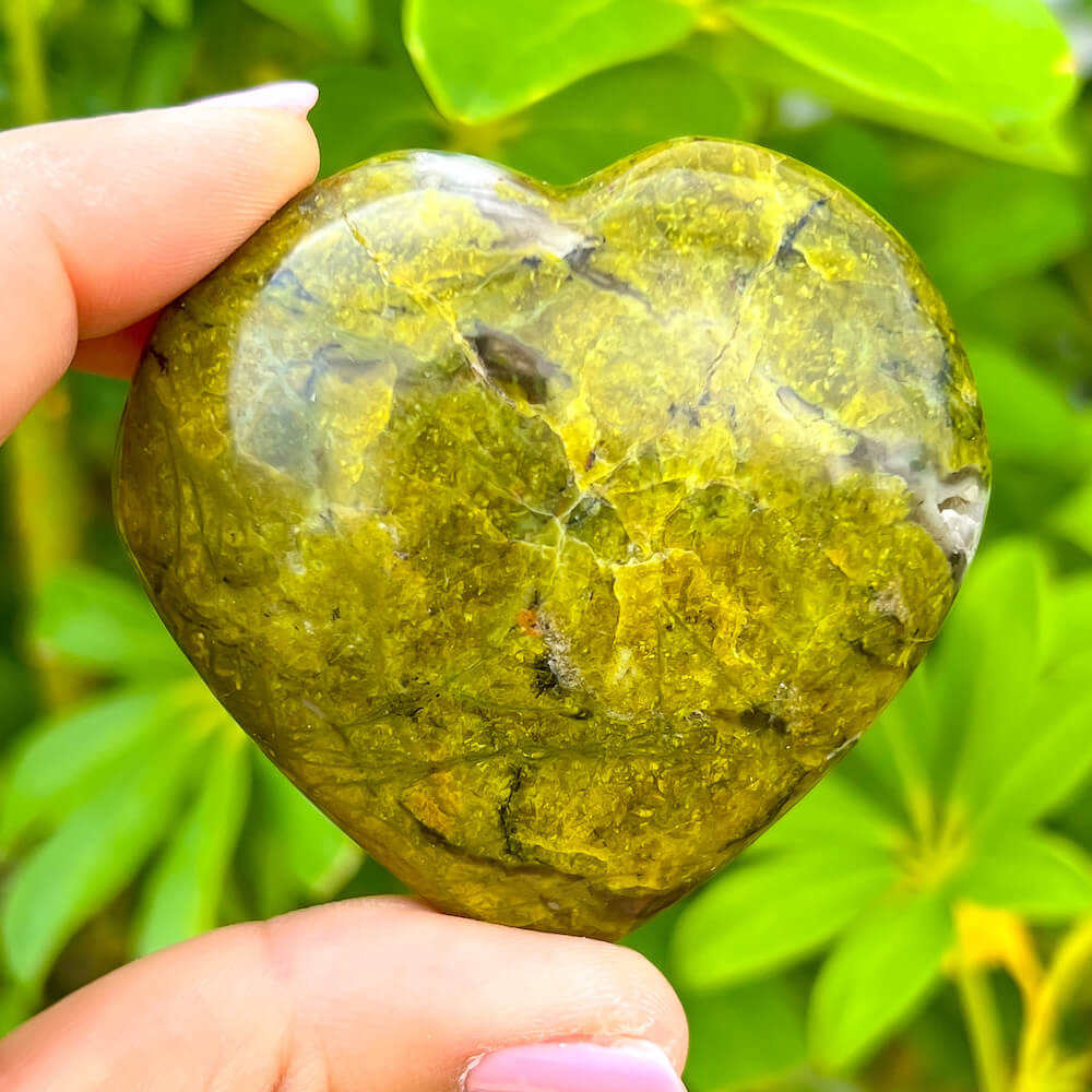 Buy Green Opal Heart from Madagascar - Green Opal - Green Opal stone quartz - healing crystals and stones when you shop at Magic crystals. Green Polished Stone with FREE SHIPPING. Green Opal Green Opal is a calming and soothing crystal known for its cleansing and re-energizing properties.