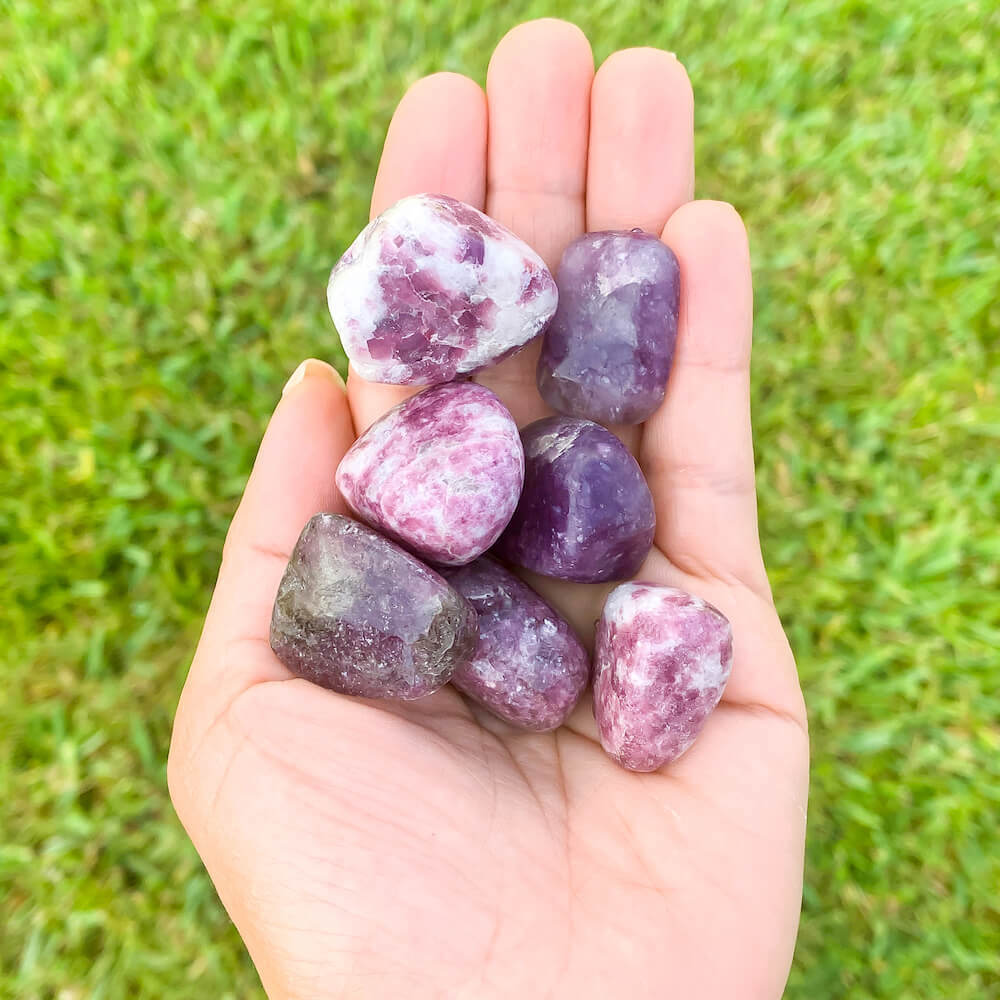 Shop for Lepidolite TUMBLED MEDIUM, Tumbled Lepidolite Brazil, Third Eye Stone and Crown Chakra Crystal. Healing Crystals Healing Stones at Magic Crystals . Empathetic, supporting and glowing with soft, pretty color, this Lepidolite stone is a wonderful crystal gift for someone you love.