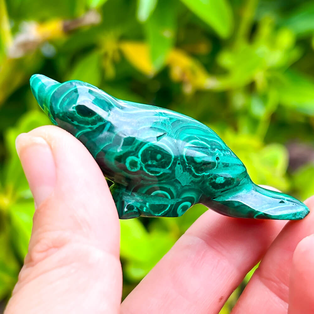 Genuine Malachite. Shop at Magic Crystals for Genuine Malachite Bird - Natural Malachite Bird Carving from Congo. Malachite Animal, Gifts for Her, Gifts for Him, Crystal Gemstones, Home Decor. FREE SHIPPING AVAILABLE. Hand Carved Malachite Stone Bird, Home Decor, Crystal Healing, Mineral Specimen.