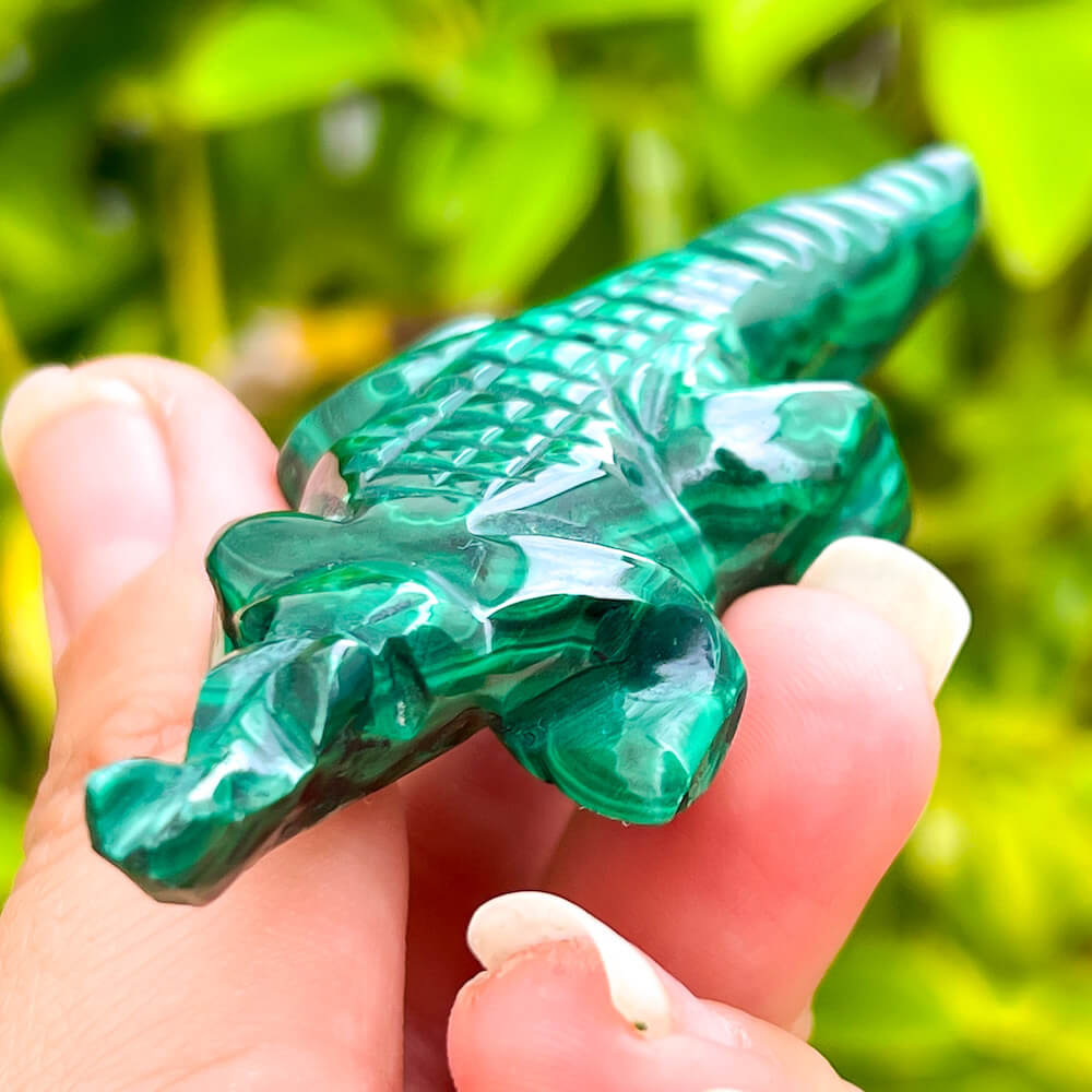 Genuine Malachite. Shop at Magic Crystals for Genuine Malachite Crocodile - Natural Malachite Crocodile Carving from Congo. Malachite Animal, Gifts for Her, Gifts for Him, Crystal Gemstones, Home Decor. FREE SHIPPING AVAILABLE. Hand Carved Malachite Stone Crocodile, Home Decor, Crystal Healing, Mineral Specimen.