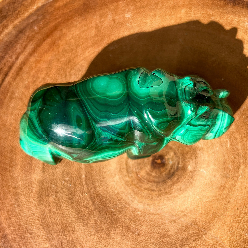 Genuine Malachite. Shop at Magic Crystals for Small Genuine Malachite Hippo - Natural Malachite Hippo Carving from Congo. Malachite Animal, Gifts for Her, Gifts for Him, Crystal Gemstones, Home Decor. FREE SHIPPING AVAILABLE. Hand Carved Malachite Stone Hippo, Home Decor, Crystal Healing, Mineral Specimen #1.