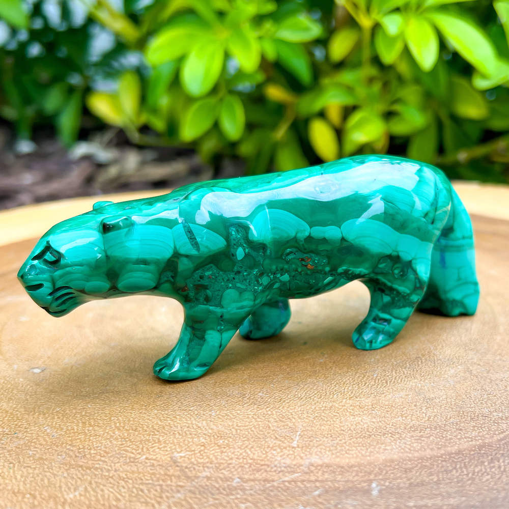Genuine Malachite. Shop at Magic Crystals for Genuine Malachite Leopard Leopard - Natural Malachite Leopard Carving from Congo. Malachite Animal, Gifts for Her, Gifts for Him, Crystal Gemstones, Home Decor. FREE SHIPPING AVAILABLE. Hand Carved Malachite Stone Cougar Leopard, Home Decor, Crystal Healing.
