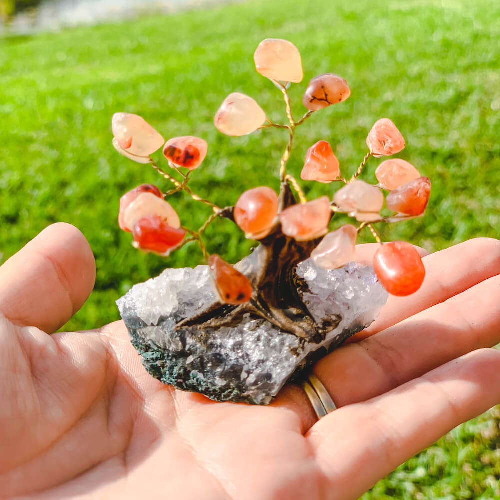 Buy Raw Mini Orange Carnelian Bonsai Tree on Amethyst Cluster in Magic Crystals. Carnelian is best for Motivation, Strength, and Leadership. Magic Crystals has a variety of HOME DECOR made of crystals and gemstones. Gemstone tree. Birthstone tree sculpture. Amethyst geode gift. FREE SHIPPING AVAILABLE.