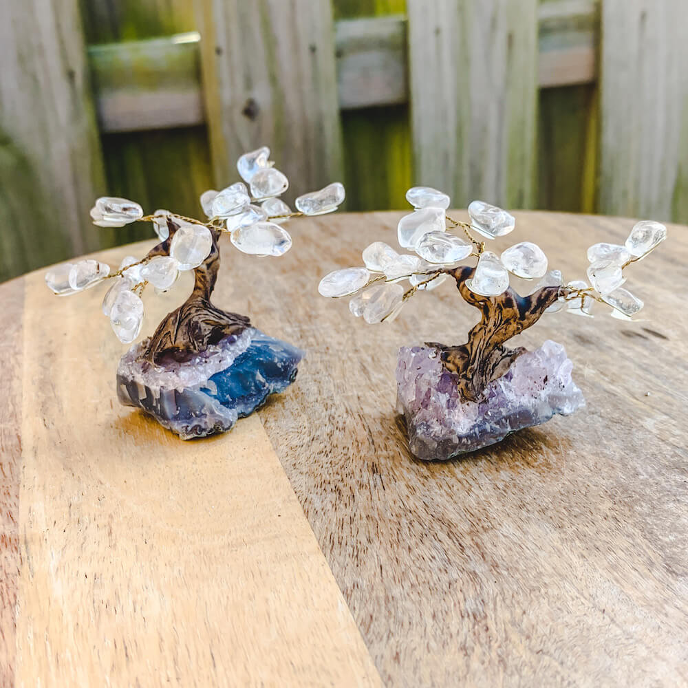 Buy Raw Mini Clear Quartz Bonsai Tree on Amethyst Cluster in Magic Crystals. Green Aventurine is great for Programmability, amplification of one's intention, magnification of energies, clearing, cleansing, and healing. Magic Crystals has a variety of HOME DECOR made of crystals and gemstones. Birthstone tree sculpture.