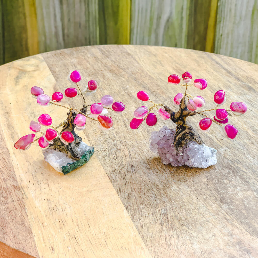 Looking pink agate home decor? Buy Raw Mini Pink Agate Bonsai Tree on Amethyst Cluster in Magic Crystals. Pink Agate is a stone of strength. Magic Crystals has a variety of HOME DECOR made of crystals and gemstones. Birthstone tree sculpture FREE SHIPPING available.