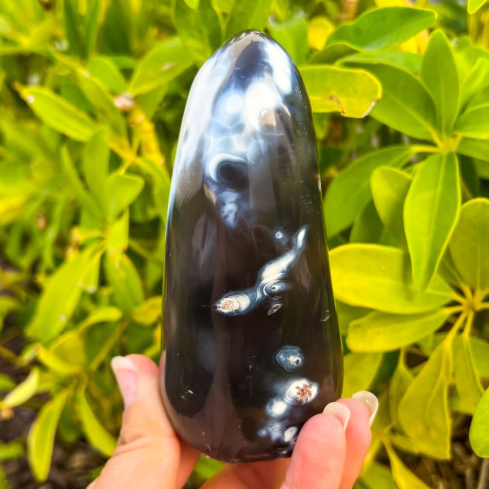 Looking for Large Orca Agate stones? Shop at our crystal shop for genuine Orca Agate Freeform - Polished Orca Agate Carving, Orca Agate at Magic Crystals. Natural Orca Agate is a powerful reminder of the ageless spirit by raising the vibration of the physical vehicle. FREE SHIPPING. Orca-Agate-Freeform-D