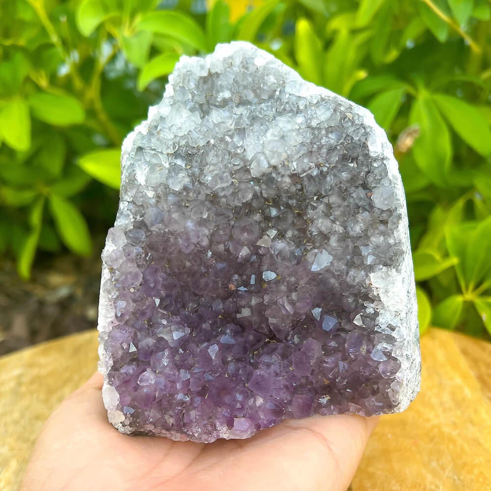 Cut base Brazilian Rainbow Amethyst Church Cathedral Sparkly Druze Raw Crystal Cluster at Magic Crystals. This gemstone is a February Birthstone perfect for Third Eye Chakra and Crown. This gemstone helps for Spirituality and Wisdom. Natural Amethyst offers FREE SHIPPING and the best quality gemstones.