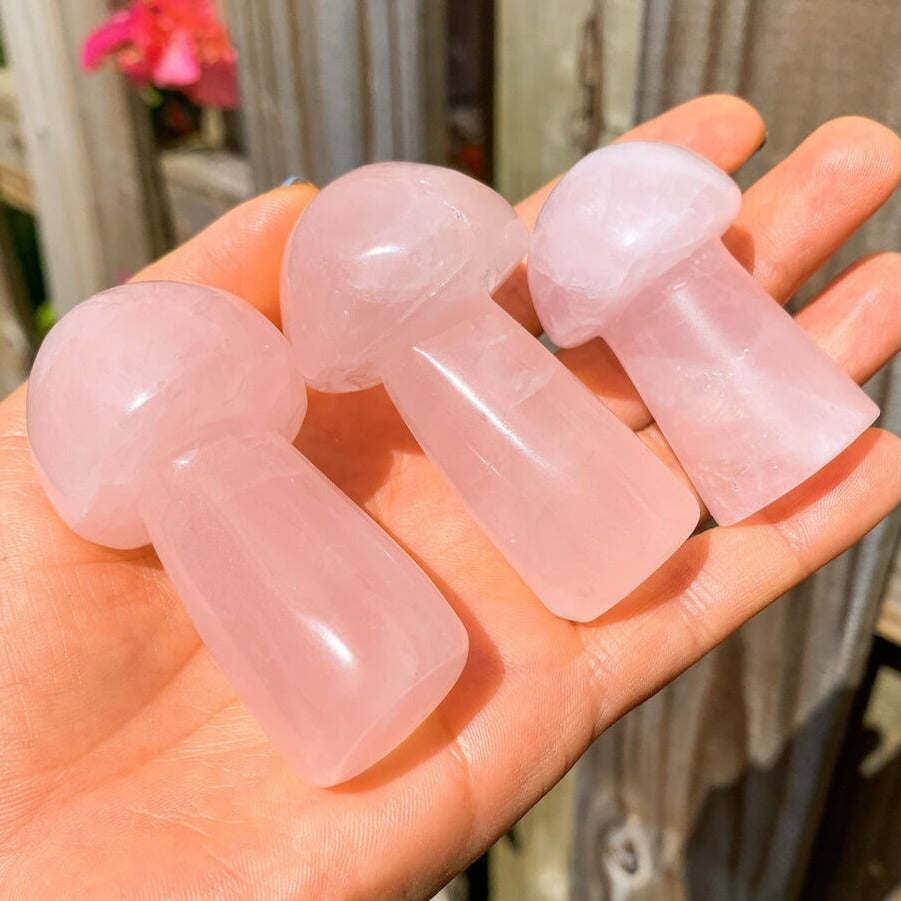 Rose-Quartz-Mushroom. Looking for Crystal Mushroom? Shop Crystal Mushroom Carving, Gemstone Mushroom, Healing Crystal, Crystal Collection, Crystal Gift at Magic Crystals. Natural Crystal mushrooms 2”, carved crystal, mushrooms crystals, medium crystal mushroom for Energy Reiki Point with FREE SHIPPING AVAILABLE.