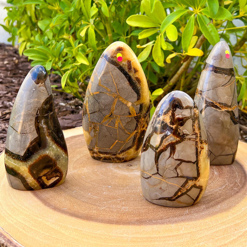 Shop for Madagascar Septarian Free Form, Crystal at Magic Crystals. UV Reactive Septarian Stone, Dragon Stone, Calcite & Aragonite For the Root Chakra, Grounding Minerals. Septarian stone has a calming, nurturing energy, and can bring feelings of joy and spiritually uplifting.FREE SHIPPING AVAILABLE