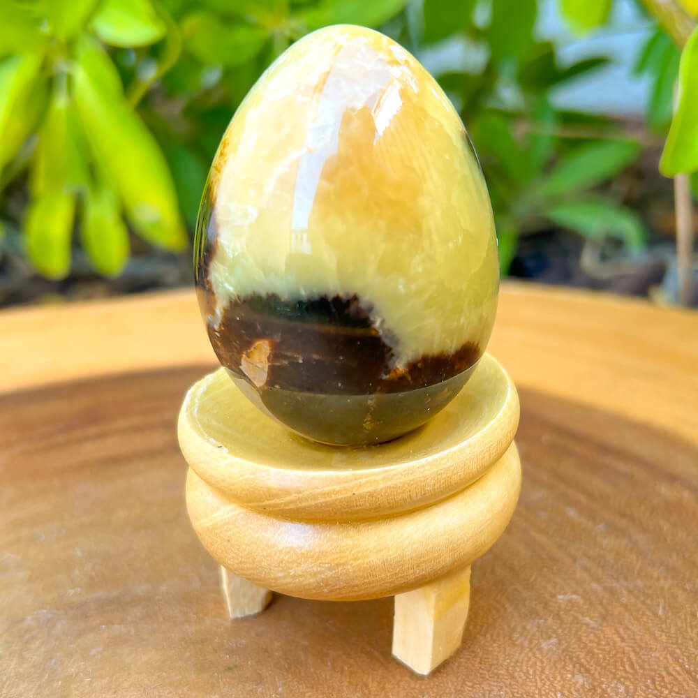 Looking for Septarian Dragon Stone egg? Shop for Septarian Dragon Stone egg, Septarian Dragon Stone egg, Septarian Nodule Crystal egg at Magic Crystals. UV Reactive Septarian Stone, Grounding Minerals. Septarian stone has a calming, nurturing energy, and can bring feelings of joy and spiritually uplifting