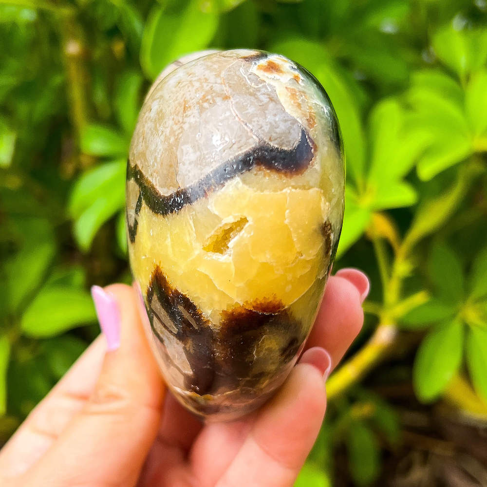 Looking for Septarian Dragon Stone Heart? Shop for Septarian Dragon Stone Heart - A, Septarian Dragon Stone Heart, Septarian Nodule Crystal Ball at Magic Crystals. UV Reactive Septarian Stone, Grounding Minerals. Septarian stone has a calming, nurturing energy, and can bring feelings of joy and spiritually uplifting. Septarian-Dragon-Stone-Heart-B