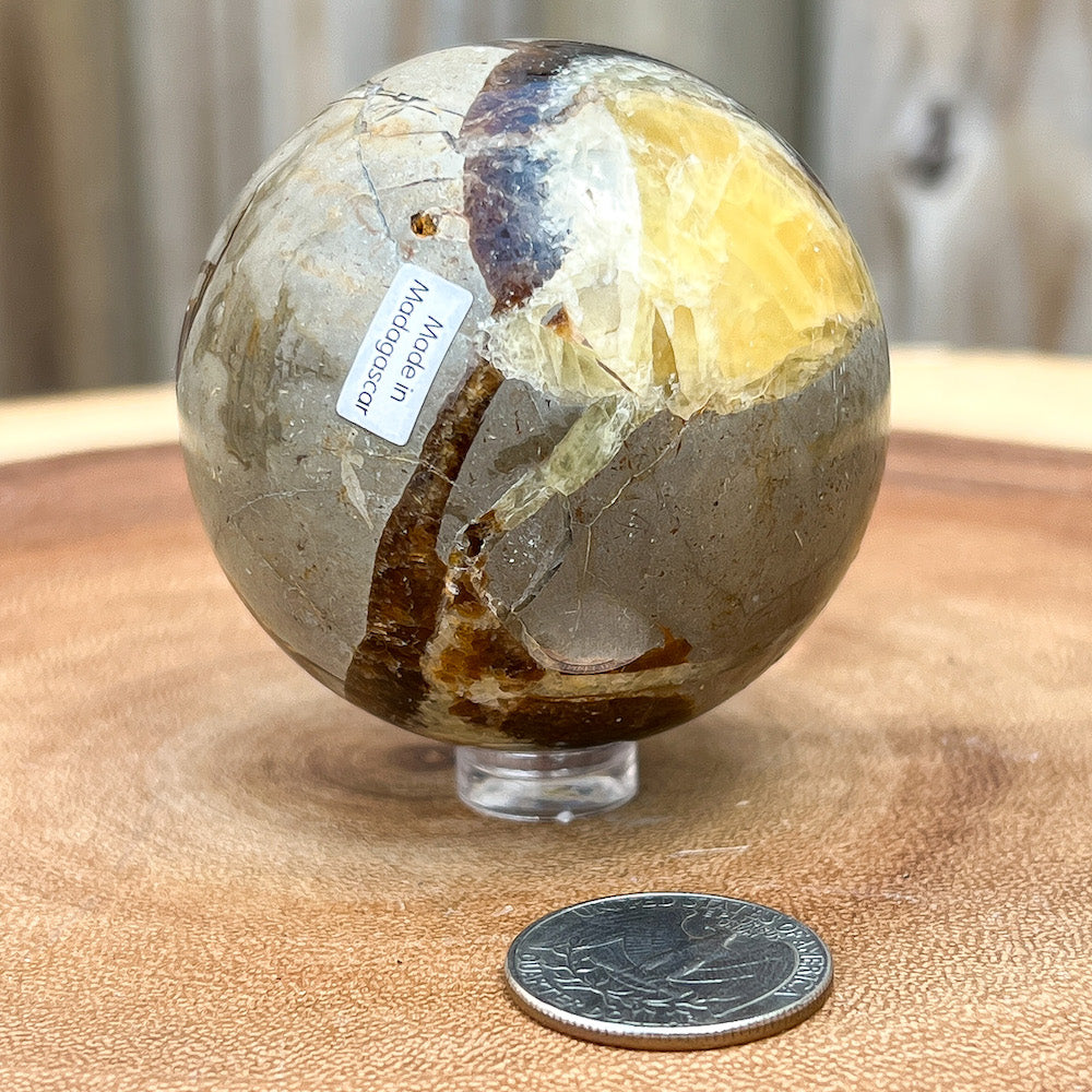 Shop for Madagascar Septarian Dragon Stone Sphere, Septarian Nodule Stone at Magic Crystals. UV Reactive Septarian Stone, Dragon Stone For the Root Chakra, Grounding Minerals. Septarian stone has a calming, nurturing energy, and can bring feelings of joy and spiritually uplifting. FREE SHIPPING AVAILABLE