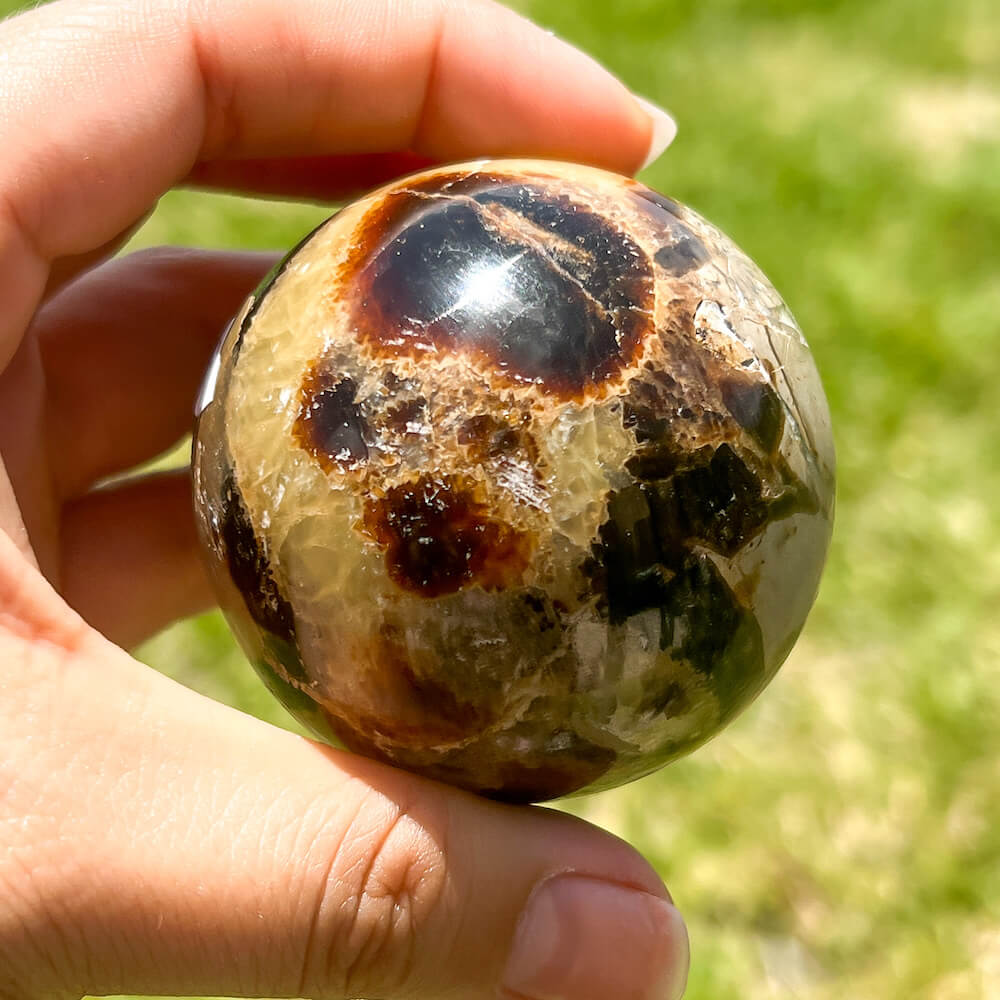Looking for Septarian Dragon Stone Sphere? Shop for Septarian Dragon Stone Sphere - C, Septarian Dragon Stone Sphere, Septarian Nodule Crystal Ball at Magic Crystals. UV Reactive Septarian Stone, Grounding Minerals. Septarian stone has a calming, nurturing energy, and can bring feelings of joy and spiritually uplifting