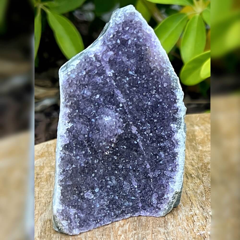 Shop at Magic Crystals for Small Amethyst Polished Geode - Cathedral Amethyst. VERY High Quality. World’s Highest Quality Amethyst Geode, Crystals and Stones, Healing stones. Top Rated Mineral Dealer. Authenticity Certificates. Deep & Rich Hues. Amethyst from Brazil and Uruguay available. Small-Amethyst-Cluster. Small-Amethyst-Cutbase