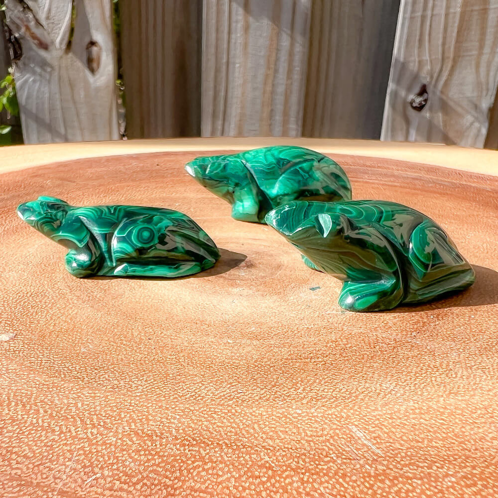 Genuine Small Malachite. Shop at Magic Crystals for Small Genuine Malachite Frog #C - Natural Malachite Frog Carving from Congo. Malachite Animal, Gifts for Her, Gifts for Him, Crystal Gemstones, Home Decor. FREE SHIPPING AVAILABLE. Hand Carved Malachite Stone Frog, Home Decor, Crystal Healing, Mineral Specimen #1.