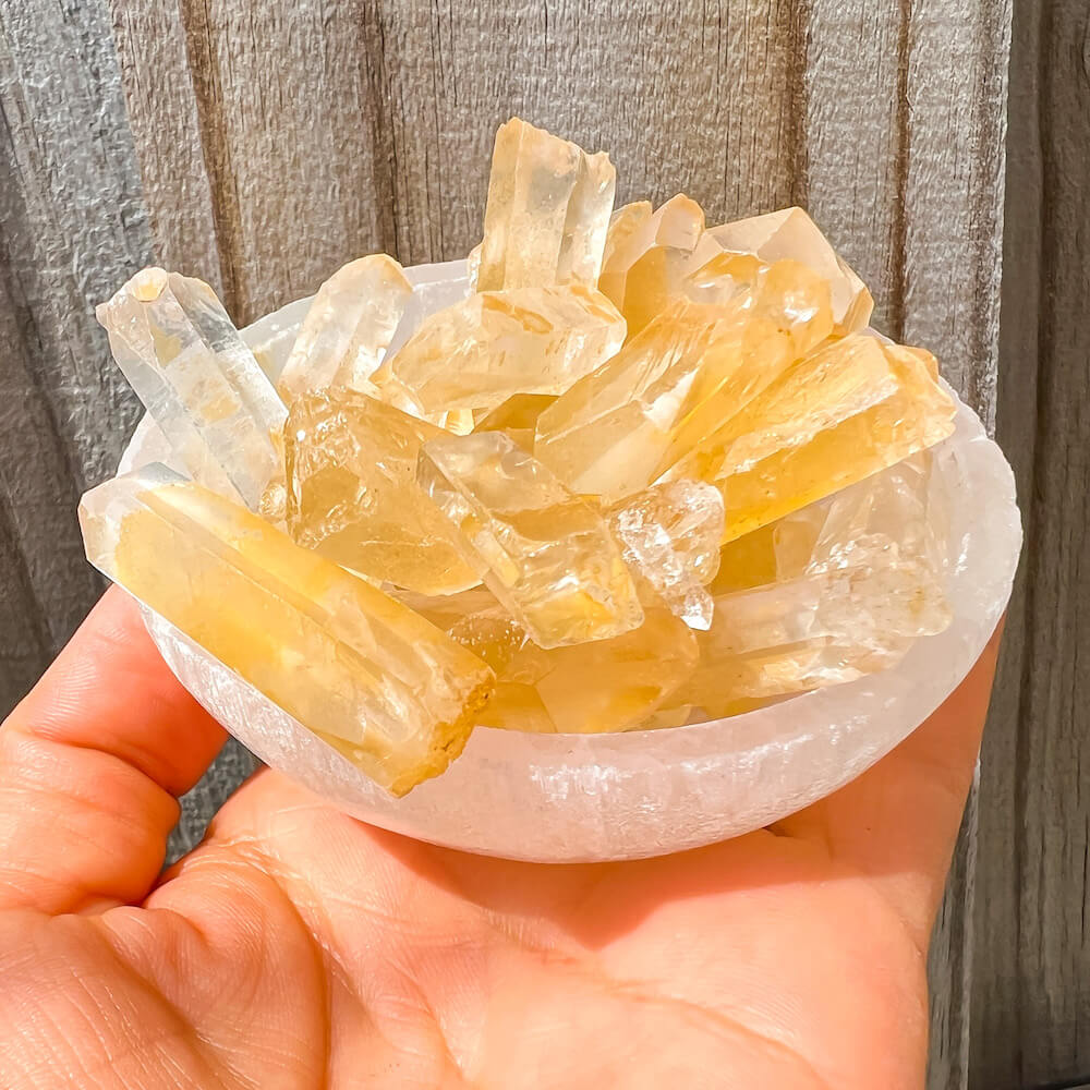 Looking for Tangerine Lemurian Quartz? Magic Crystals carries Tangerine Quartz Crystal for High Vibration and Reiki Healing. Sacred Natural Tangerine Lemurian Seed Quartz mined from Brazil. tangerine quartz can be used to bring vitality & balance to the Sacral Chakra. Cleansed, and purified with high vibration energy.