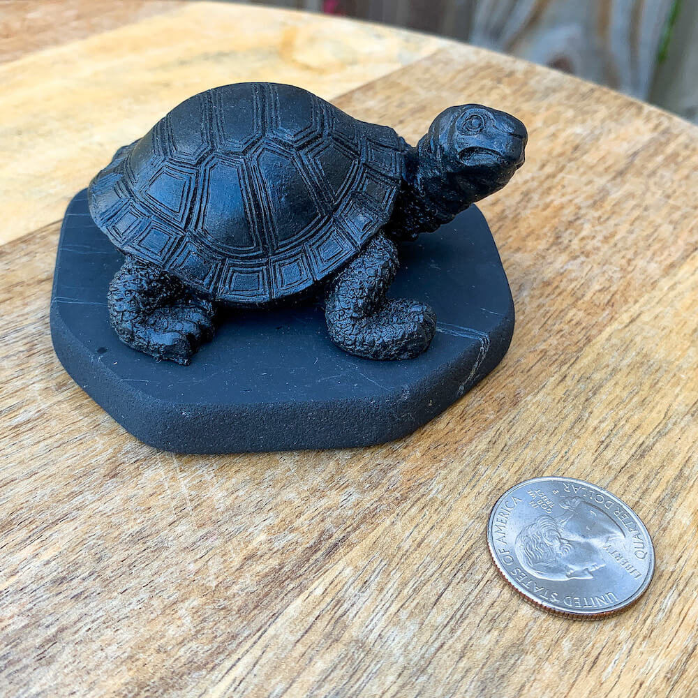Shop at Magic Crystals for Shungite Turtle, Polished Authentic Karelian Shungite. Chakra Healing Stone, Block EMF's WIFI Radiation 5G at magiccrystals.com . Shop online with FREE SHIPPING AVAILABLE.
