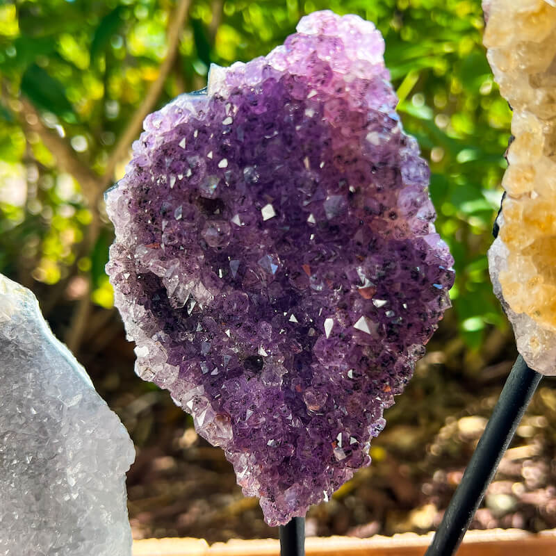 Horizontal Amethyst, Citrine & Clear Quartz Crystal Set for Abundance, Clarity & Spiritual Growth