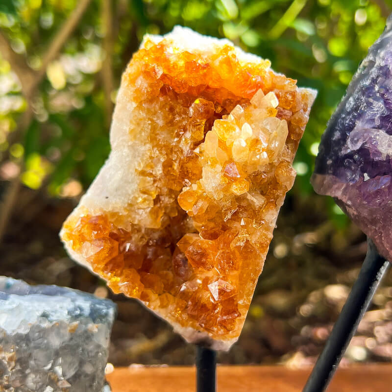 Horizontal Amethyst, Citrine & Clear Quartz Crystal Set for Abundance, Clarity & Spiritual Growth