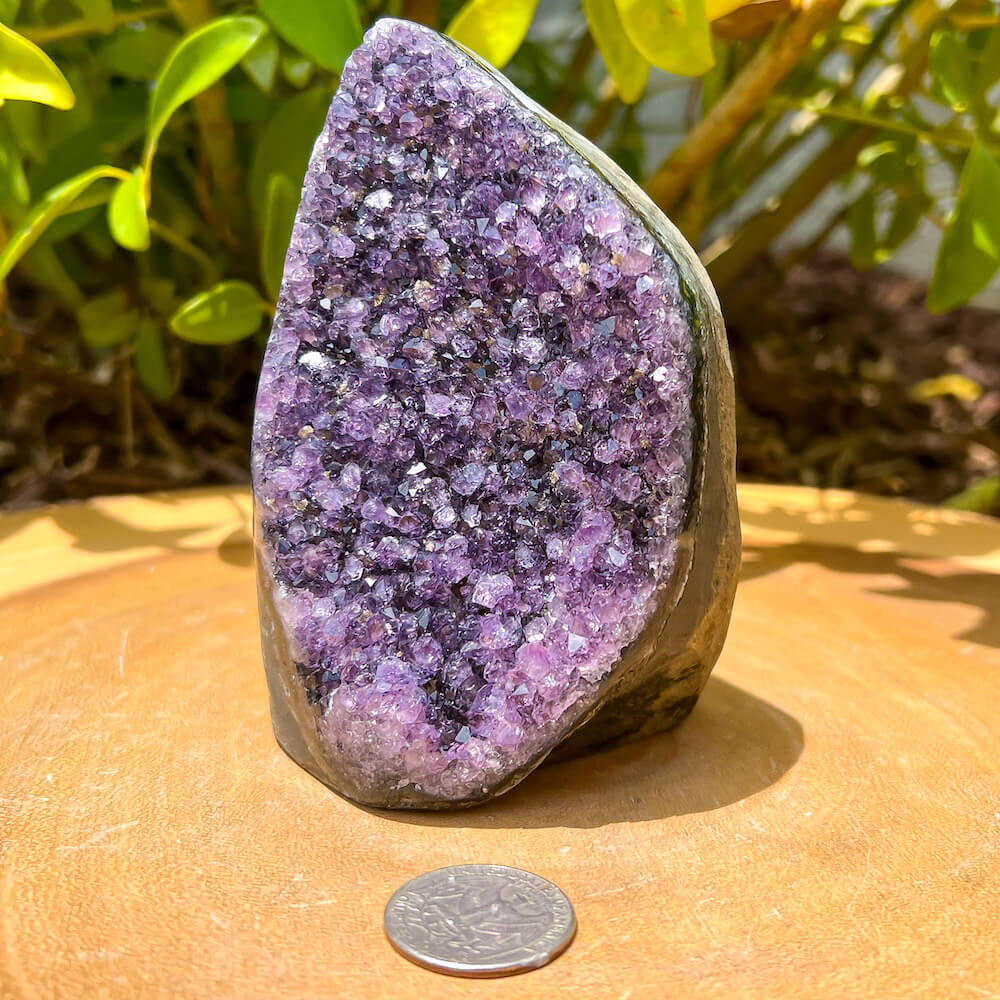 Polished Amethyst Geode Cluster - Cathedral Amethyst - Group A - Polished Amethyst Geode Cluster - Cathedral Amethyst, Stone Point, Crystal Point, Amethyst Tower, Power Point at Magic Crystals. Natural Amethyst Gemstone for PROTECTION, PEACE, INSPIRATION. Magiccrystals.com offers FREE SHIPPING and the best quality gemstones. 