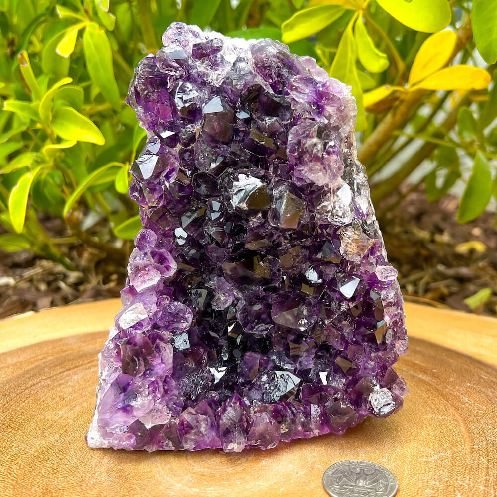 Amethyst Geode Cluster - Amethyst Cathedral. Purple    Amethyst-Cut-Base, statement piece high quality gemstones at MagicCrystals.com