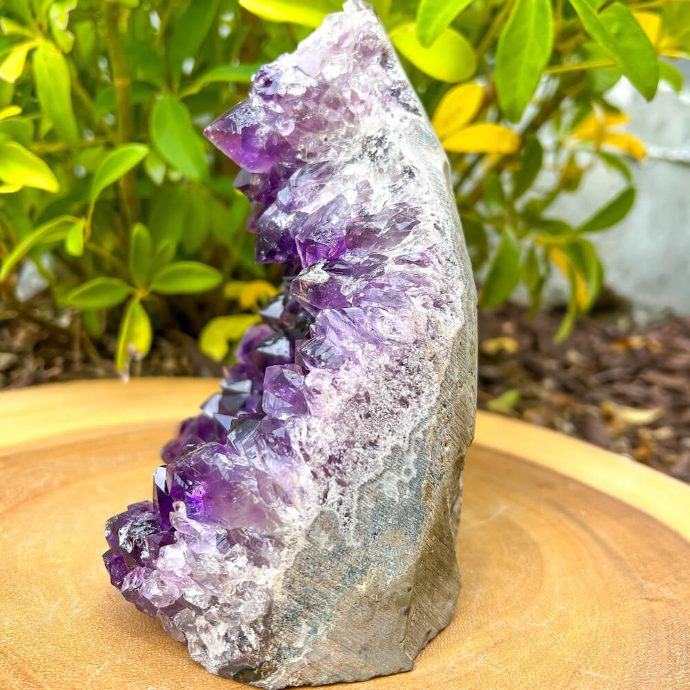 Amethyst Geode Cluster - Amethyst Cathedral. Purple    Amethyst-Cut-Base, statement piece high quality gemstones at MagicCrystals.com