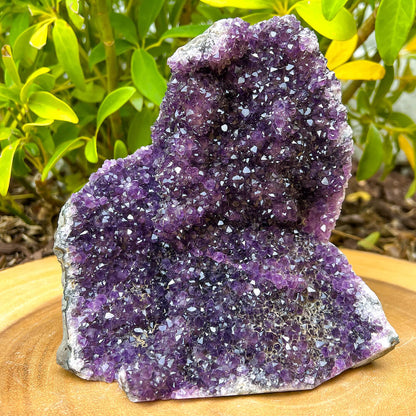 Amethyst Geode Cluster - Amethyst Cathedral. Purple    Amethyst-Cut-Base, statement piece high quality gemstones at MagicCrystals.com