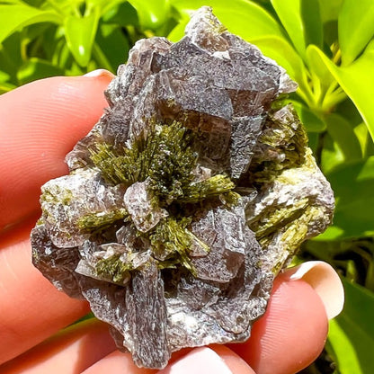 Axinite, Epidote, and Quartz Fine Mineral - Specimen