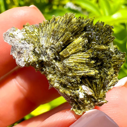 Axinite, Epidote, and Quartz Fine Mineral - Specimen